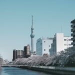 Vista da Skytree a partir do Rio Sumida, com cerejeiras em flor