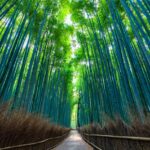 Arashiyama em Kyoto: Guia Completo da Floresta de Bambu e Outras Atrações Imperdíveis