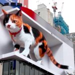 24 horas em Shinjuku, Tóquio: o que fazer no coração da capital japonesa