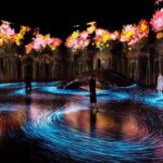 teamLab Borderless x teamLab Planets: Qual a diferença entre os dois museus digitais em Tóquio?