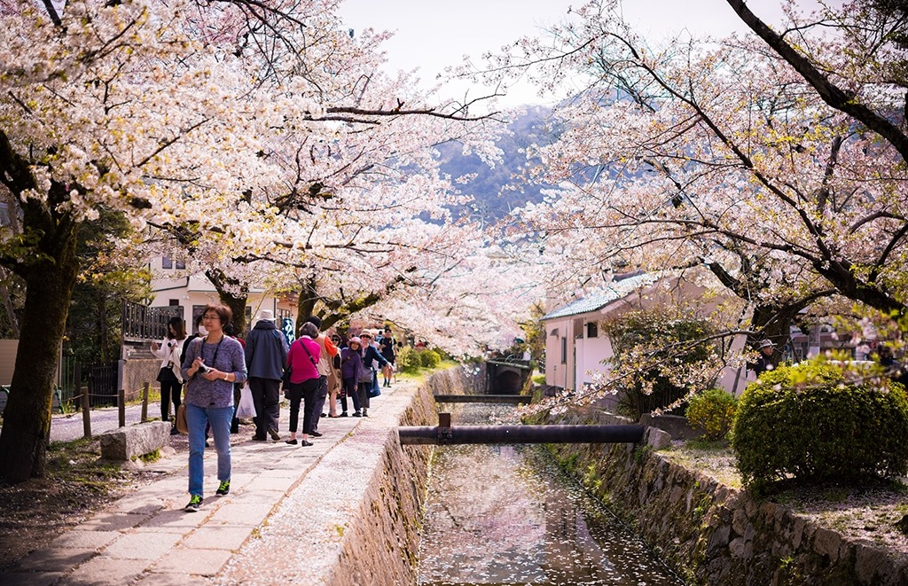 Caminho do filósofo, em Kyoto